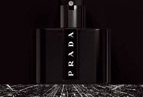 prada black perfume notes|prada black cologne 3.4 oz.